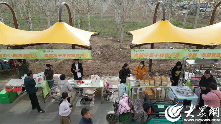 匠心傳承，共富同行 廣饒縣李鵲鎮“好品李鵲共富市集”上的麥秸畫藝術
